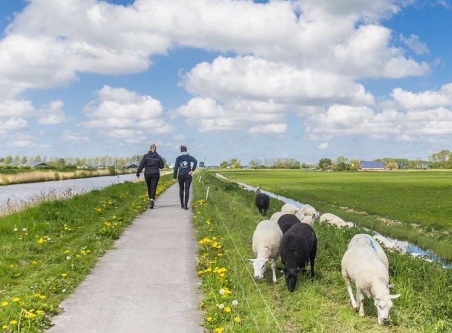 Radiofragment over wandelen en voetklachten